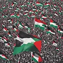 Palestine Rally: Our Hope Isn't Lost Yet - Inspiring Images