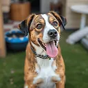 Generate Realistic Dog Images Instantly - Fulgent AI